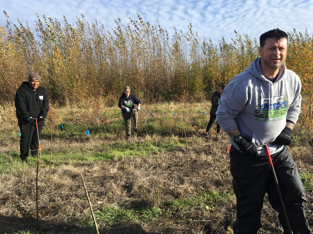 ColumbiaEstuary's tweet photo. Special shout out to @FIVEZEROTREES staffers for planting so many trees with us at #SandyRiverDelta last Saturday! #planttrees #volunteersrock https://t.co/XnUDXhB3ad