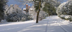 gliffaes's tweet photo. Visiting the Brecon Beacons this winter? Come join us by the open fire for our delicious Christmas Afternoon Tea...

https://t.co/9A4HEPsjWk…/11/christmas-afternoon-teas/ https://t.co/zSOsuMiL5Z