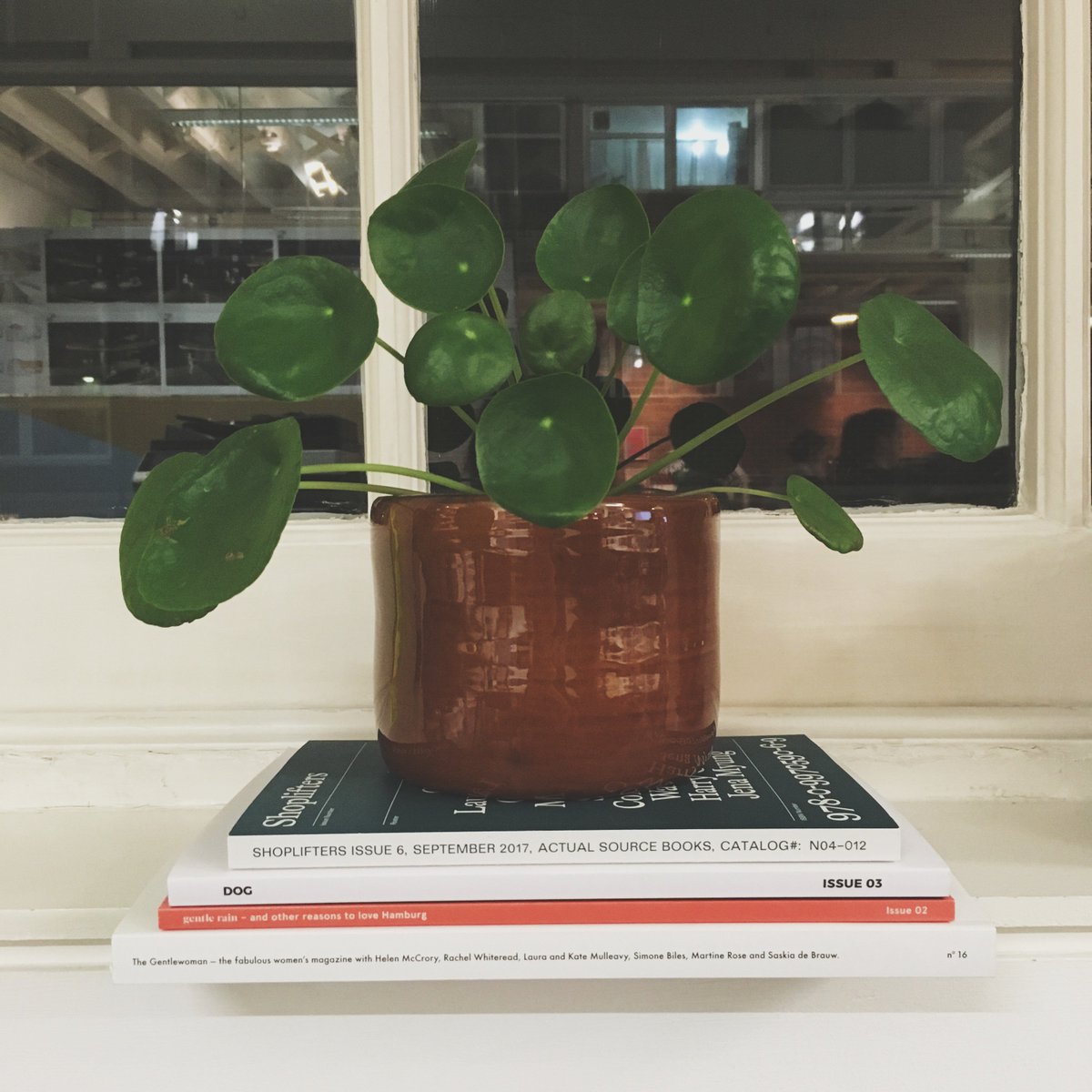 sodalondon's tweet photo. Settling into the late afternoon with a bunch of new literature from @magculture and of course an abundance of SODA pileas! #editorialdesign #publishing #greenfingered #studioplant #designspiration https://t.co/8KsqnRGyZ6