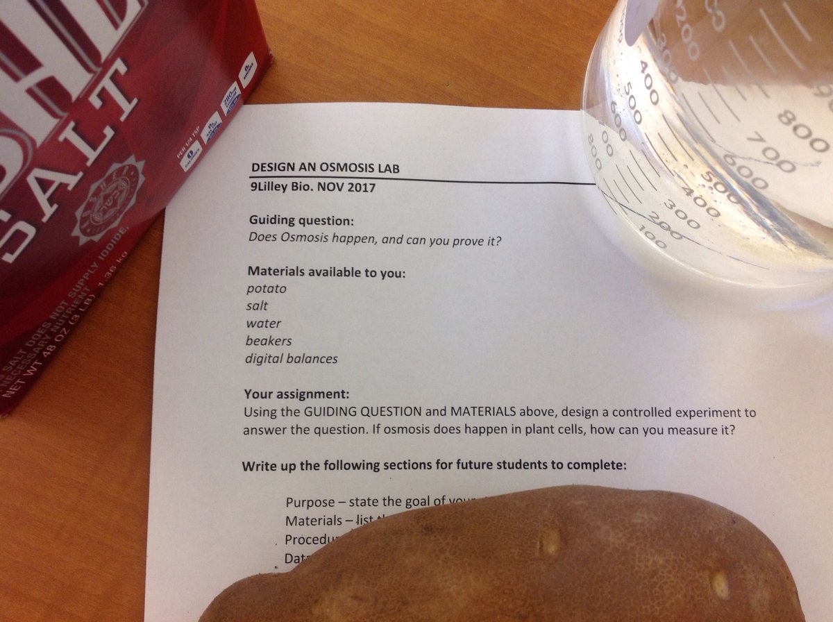 salilley's tweet photo. Does OSMOSIS actually happen? Design an osmosis lab to see. Students are in the planning stages. #9LilleyBio #biology #osmosis #nccsus https://t.co/DMQBWt803e