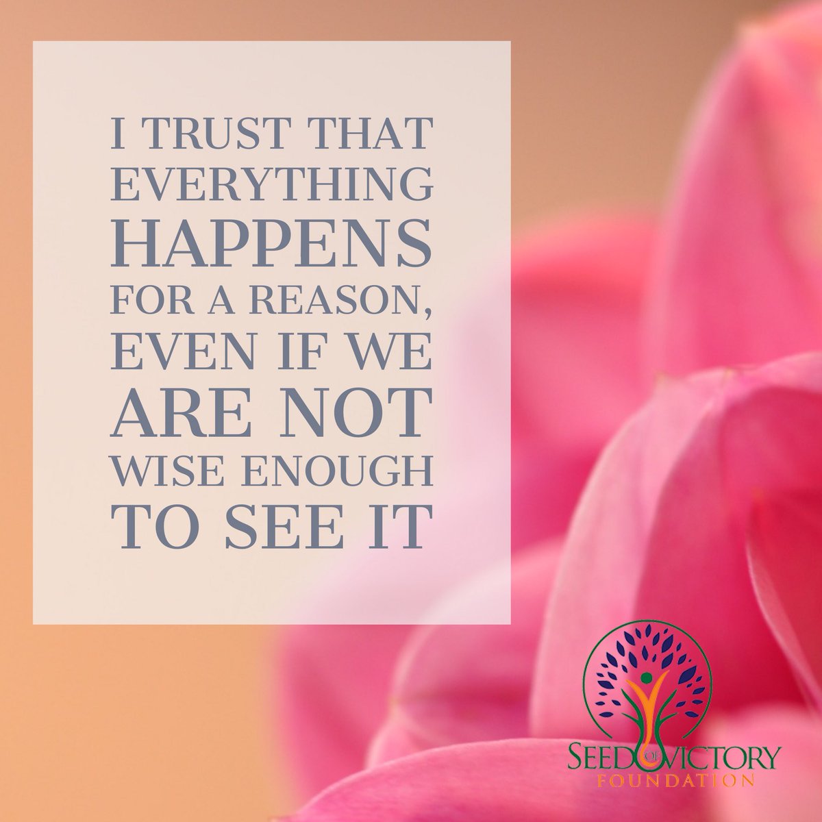 SOVFoundation's tweet photo. #seedofvictoryfoundation #trust #everything #happens #reasons #sessionplusinc #churchmemedia https://t.co/dt0J6T68RV