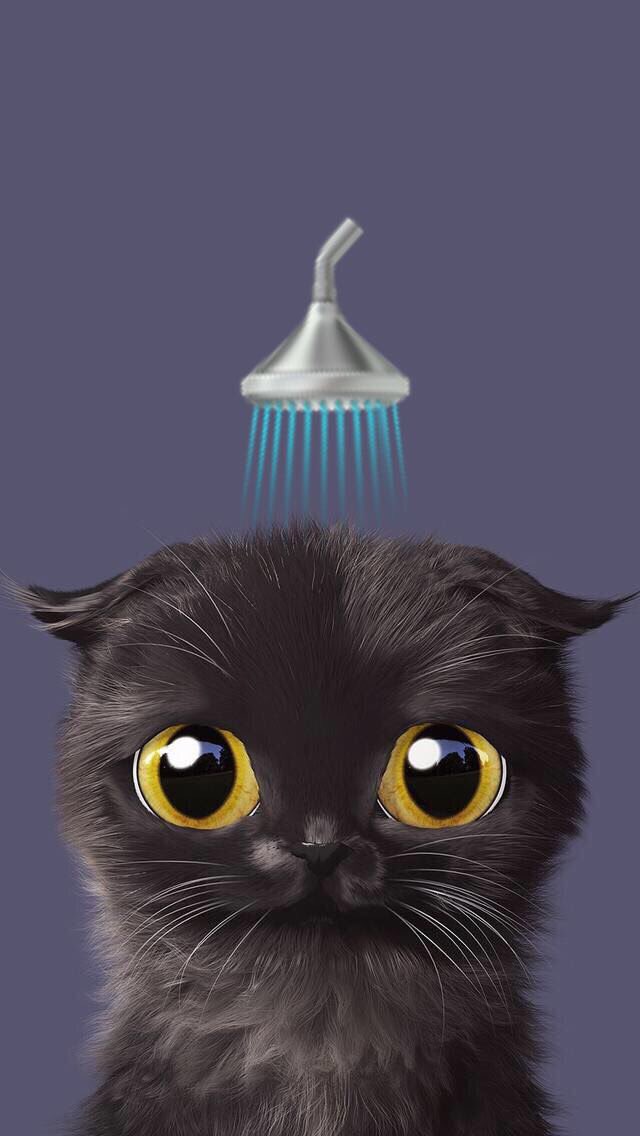CatcanCol's tweet photo. Stay Clean #FelizMartes #catcan #AnimalLover #earthfriendly #petlover https://t.co/wWU0Mt3dWT