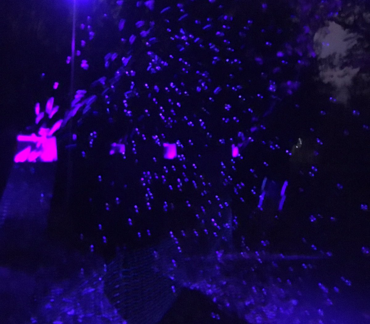 BAT_Studio's tweet image. Our Christmas installation 'More Bubbles' @kewgardens and  @TheBotanics #ChristmasAtKew #ChristmasAtTheBotanics