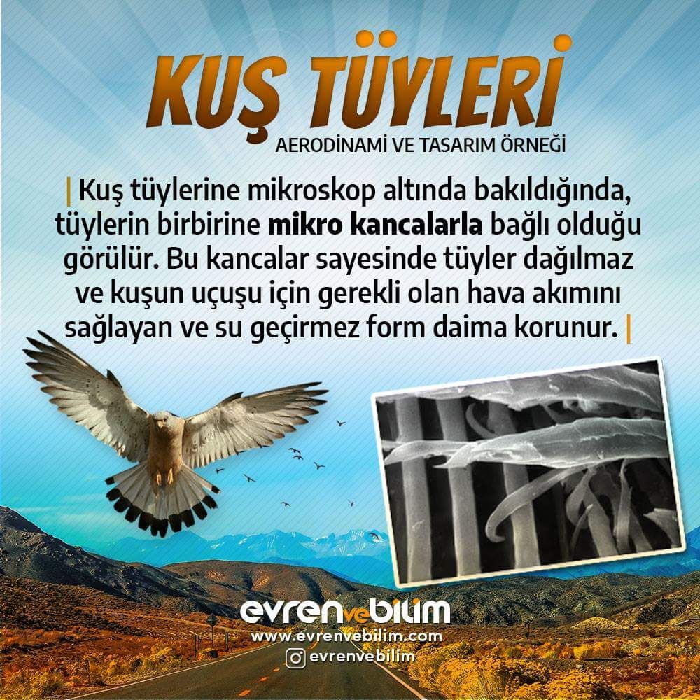 evrenvebilim's tweet photo. Daha fazlası için sayfamıza bekliyoruz. 😇
https://t.co/MeYXul7GT0
https://t.co/quwWFKWBJk
https://t.co/DBZwgRH0lt

Cenk Tosun
İçeriksiz HatalıTespitler
Başarılar Beşiktaş
Talisca
#hepberaber https://t.co/n1E23rs23l