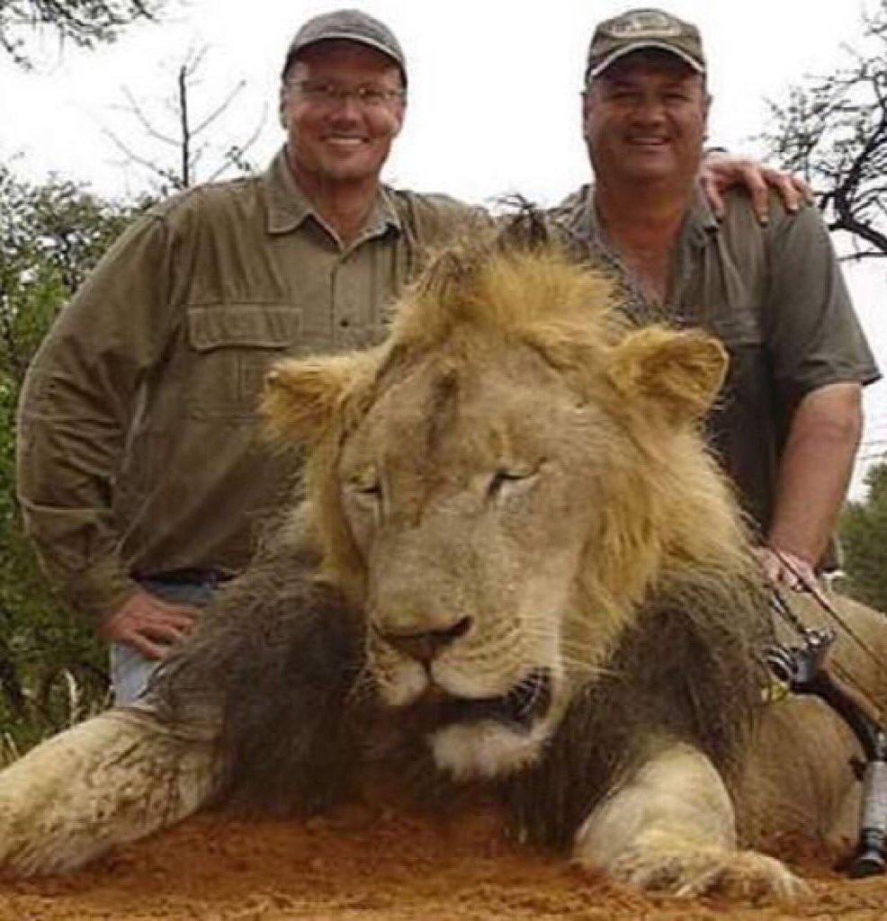 derickijohnson's tweet photo. A lion’s lounge
In majesty
And at one with all
The hunter
Isn’t hungry
But drawn by darker call
His sight is on
An unearned prize
His dream
A mount on his wall
I think what is wrong with Man
Is anger o’er the Eden fall
And every
Single #TrophyKill
A pot shot fired at God
#fsmpy https://t.co/3YqGvZrcCf