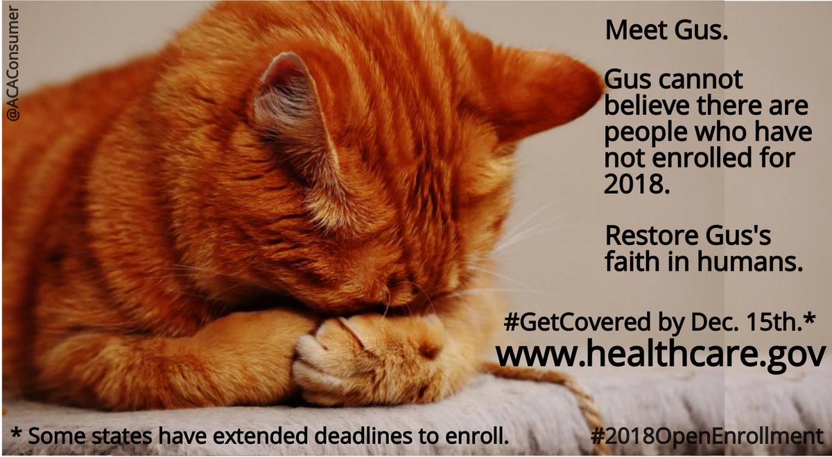ACAConsumer's tweet photo. #TuesdayThoughts How can you restore Gus' faith in humans? #GetEnrolled in #2018ACA. https://t.co/9c6GW0WEXj