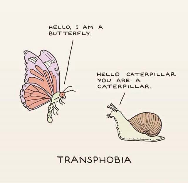 Kai Bailey tweet media