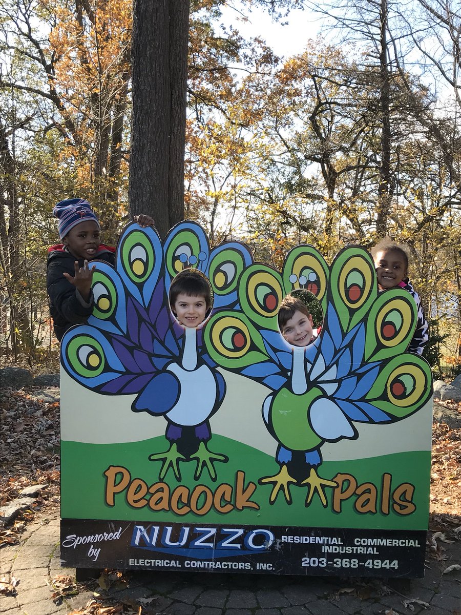 Mrs_Perrone's tweet photo. Our class had fun at the zoo today. 🐒 https://t.co/TbQv8v4tFU