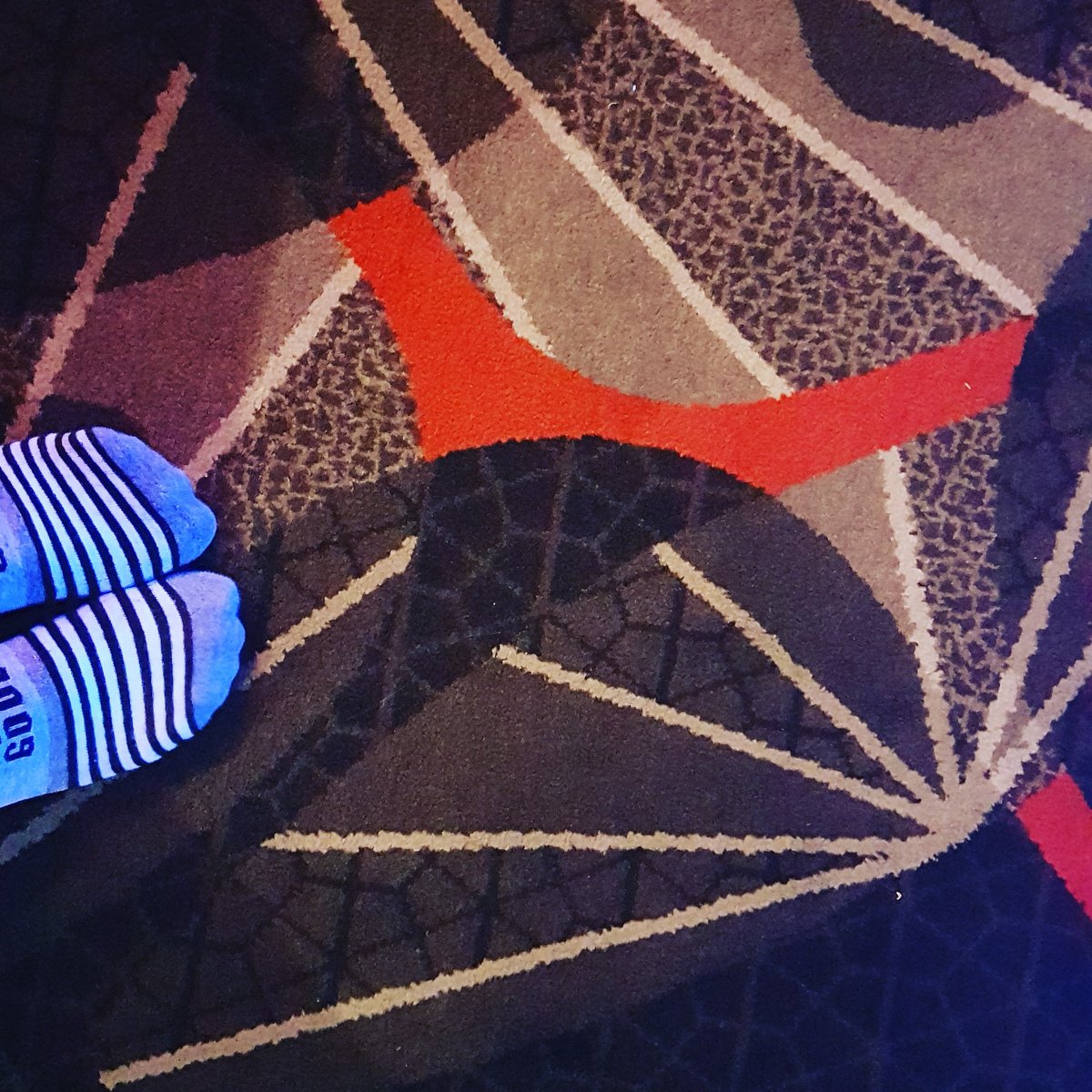 jlbowden28's tweet photo. Holiday #randomcarpetcollection https://t.co/FYAyP07PWH