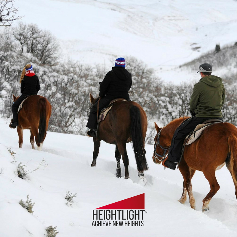 HeightLightTech's tweet photo. When it comes to Winter riding, a great tip is to spend longer warming-up and cooling down your horse. This will not only help them to preform and enjoy the ride more, but will help to avoid strain or injury. 

#AchieveNewHeights https://t.co/Jy7CF9xI1k