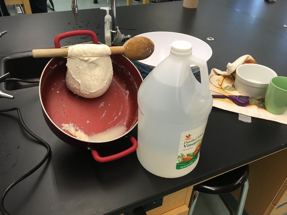 SFranczkowski's tweet photo. Separating the curds and whey in science! Looks like a yummy treat for class tomorrow 🧀 #UMlearns https://t.co/B57l3Mf3AC
