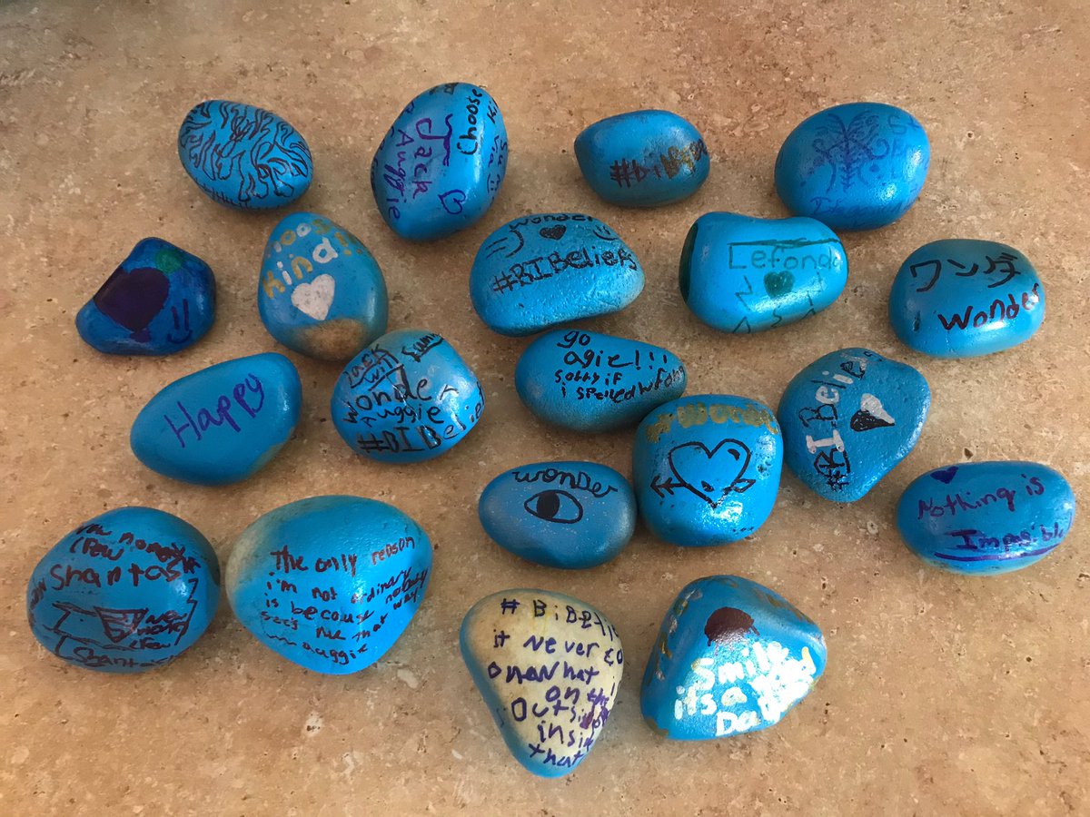 ie_buchlib's tweet photo. Look for a Kindness Rock near you!  I Wonder what you will find...#BIRocks #BIBeliefs https://t.co/xY4y4JAY72