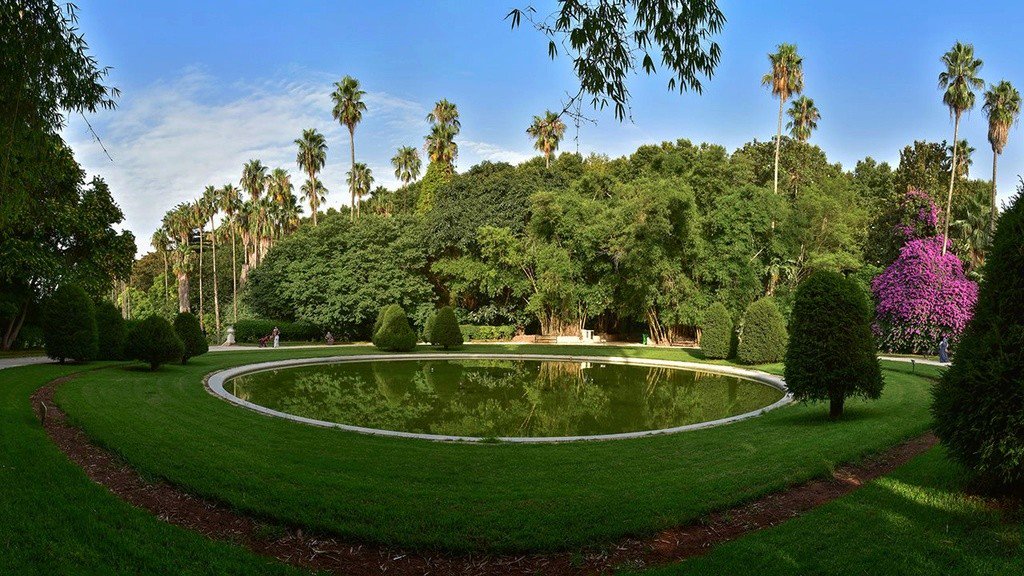 Discover_DZ's tweet photo. Hamma Botanical Garden, Algiers #Algérie #Alger #Algeria #Algiers #Travel #NaturePhotography #photography #Tourisme #Voyage #Culture #patrimoine #Picture #DiscoverAlgeria #Nature #History #Tourism #Garden #Méditerranée #paysage #الجزائر https://t.co/1pgXgtUJXT