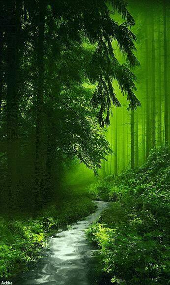 Marcela72571846's tweet photo. 🌲¡Buenas tardes ❤❤❤ twitter@s!🌲 https://t.co/yz3GLbLrTE