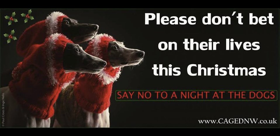 ForeverLurcher's tweet photo. @gbayfm Shame on Galway Bay FM &amp; 'Molly in the Morning' @MollyGBFM for their competition to win a Christmas party at a greyhound track😡
"A small win on you" may be a huge loss for the dogs
1000s suffer/die every year.  CRUELTY, CORRUPTION, COCAINE
Don't you listen to/read the news?!😡 https://t.co/LzIOuzKKZv