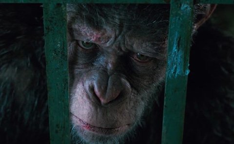 😩 Caesar... #warfortheplanet <a href="/andyserkis/">Andy Serkis</a> #movies #apestogetherstrong
