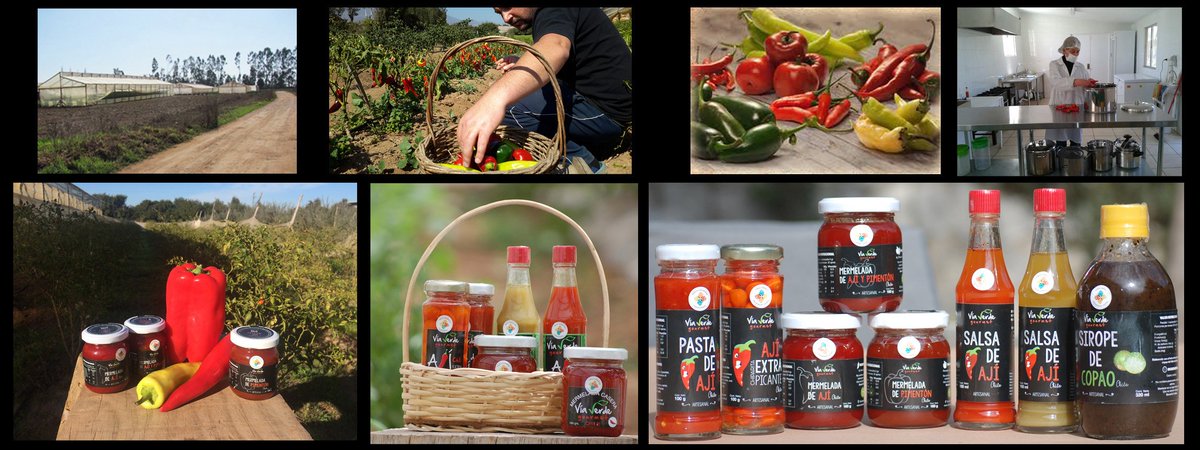 Se acerca Navidad, los mejores productos de ají para regalar. 
viaverdegourmet.cl