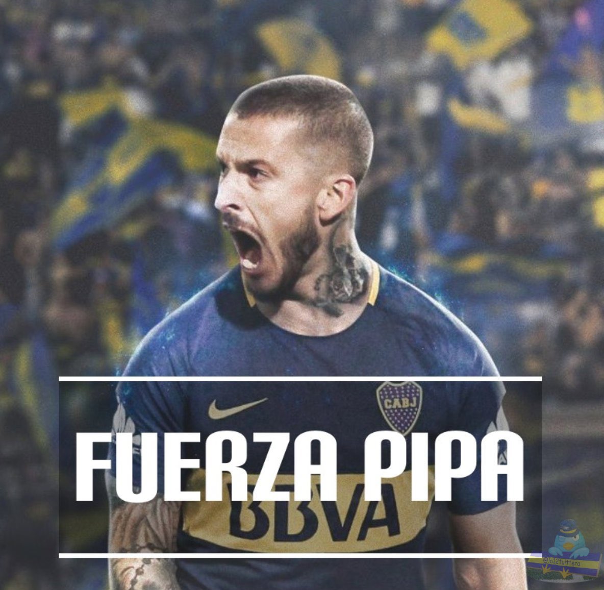 WalkingTheDog_'s tweet photo. Fuerza @PipaBenedetto ! 
Vas a volver mejor q nunca animal !💪🏻💪🏻💪🏻💪🏻💪🏻 https://t.co/b7d1QkriIw