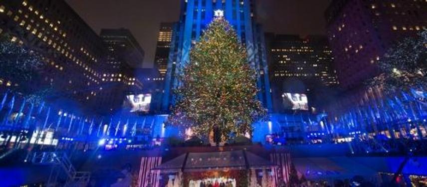 BuzzFeedss's tweet photo. How to Watch the Rockefeller Center Christmas Tree-https://t.co/8DK3QZsjZ1 #how #to #Celebritynews https://t.co/onNao9tqLD