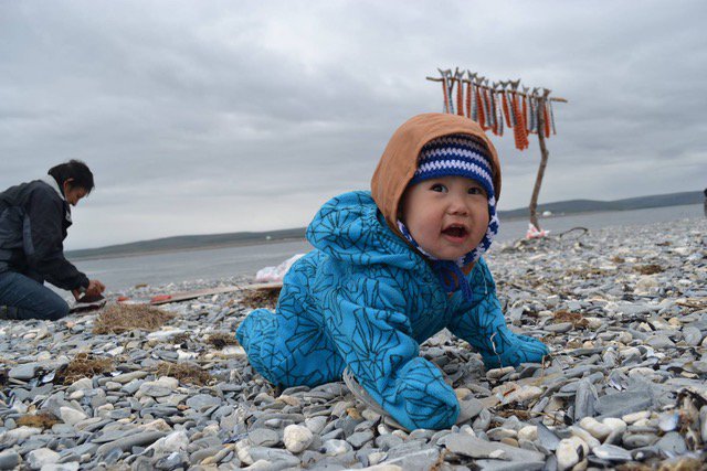 NativeFed's tweet photo. Our #AFNbaby photo winner has quite the photogenic subject. Congrats Donna Pushruk! https://t.co/mAjiP3JeZc #2017AFN https://t.co/NFp3c9Mrye