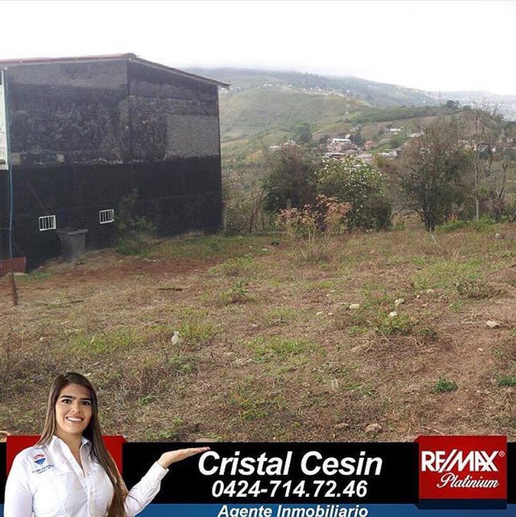 CristalCesin's tweet image. Excelente terreno: sector la puente via peribeca
urb. privada  ya habitable con servicios basicos cloacas.luz.agua.
medidas: 10 mts de frente por 37mts de fondo

precio negociable 14M
Contácteme 
Cristal Cesin
0424-714.72.46
0276-343.05.63
#Remax #RealSt… ift.tt/2jJVAkt