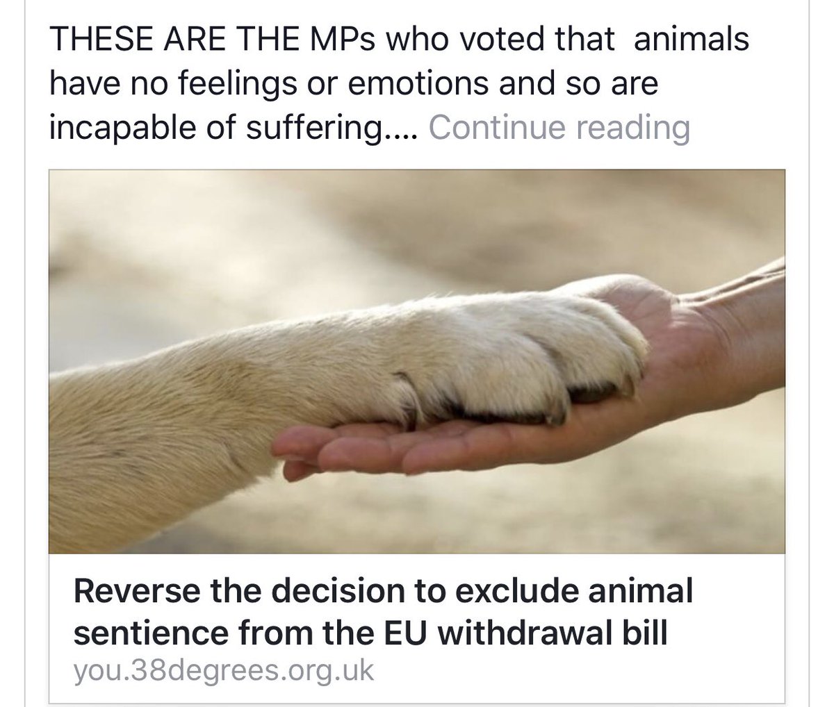 maisieb2009's tweet image. So our Leeds mp @AlecShelbrooke had voted to say he doesn’t think animals feel pain or fear? Really?