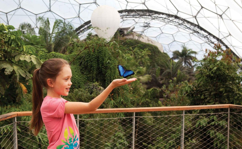 ClowanceEstate's tweet photo. The @EdenProject is just one of a number of fabulous things to see and do near Clowance Estate 🌵 🦋 🌺   https://t.co/orJMvpa2s9 #Cornwall https://t.co/nK6SwP34vT