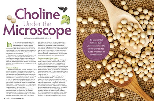 TodaysDietitian's tweet image. In the world of nutrition, choline hardly is a household word. Though  largely underconsumed and underappreciated, this essential nutrient is  poised to become the new darling of the dietetics world. More by @nutritionjill here: todaysdietitian.com/newarchives/11…