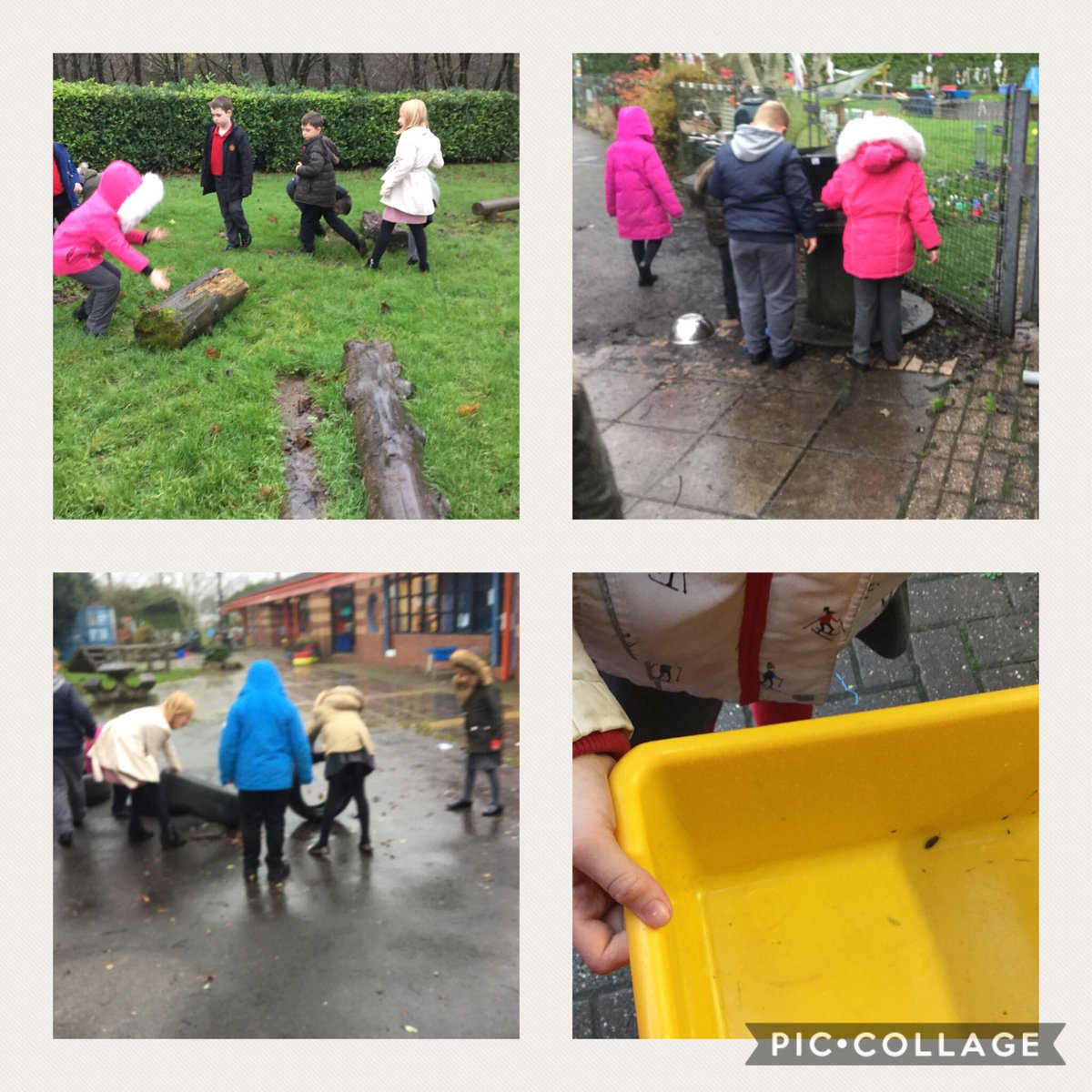 BlaenycwmPS's tweet photo. Dosbarth Porffor played 'woodlice hide and seek' today! The woodlice were much better at hiding than we were at seeking! #found1! https://t.co/HHOCleOXka