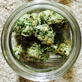 medicinalfeed's tweet photo. Marijuana, Cognition, and Perception Explained https://t.co/JCBZv7xthz #cannabis https://t.co/xLoZWOFFR5
