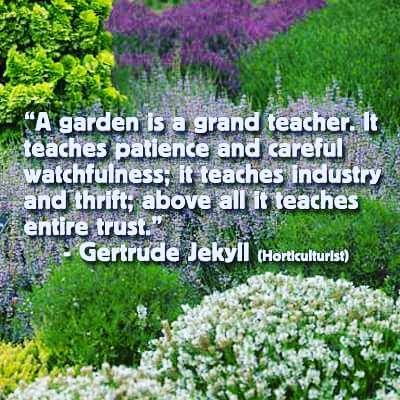 SansSouciGarden's tweet photo. #SanSouci #garden #gardenservices #irishgarden #gardenmaintance #greenhouse #gardenknowledge #gardentips #gardenadvice https://t.co/z42wQ6KPCE