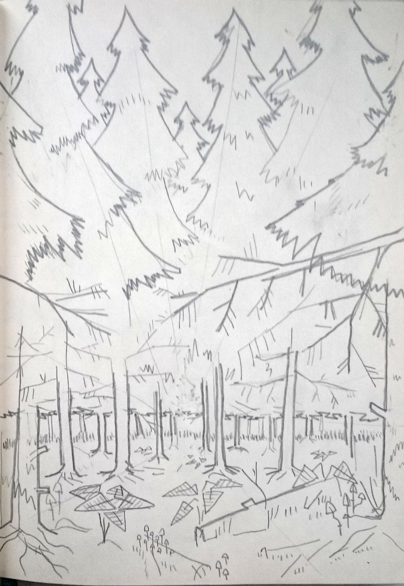 cottoncrop's tweet photo. #pencil #forest #spruce #fern #mushroom #honeyagaric https://t.co/kYs5ZYke7U