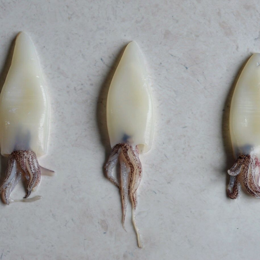 themustardspoon's tweet photo. A trio of dinky little baby squid...ready for a dusting of chilli &amp; polenta before frying until golden, then dunking in a beautiful garlicky mayo, happy days! Hope everyone's had a fab start to their week and has been cooking up a storm! If you need a li… https://t.co/qW0uEOhmsy https://t.co/FVv8elKEHF