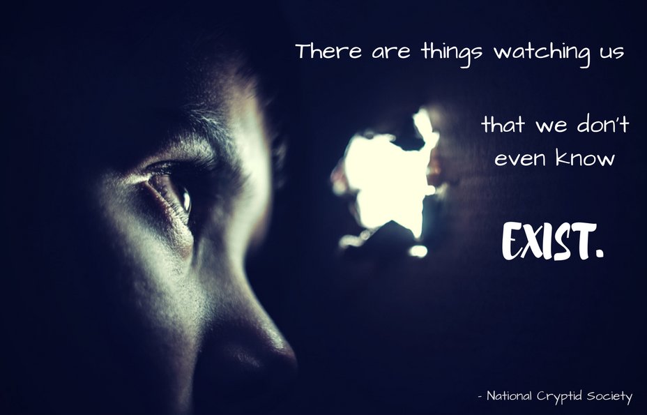TConfessionals's tweet photo. #Watchers #Cryptids #Paranormal #TheConfessionalsPodcast #NationalCryptidSociety https://t.co/UmyACcEhPy