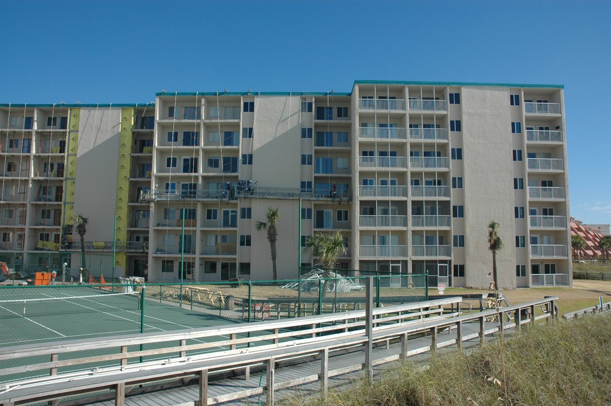 Holly Day tweet media