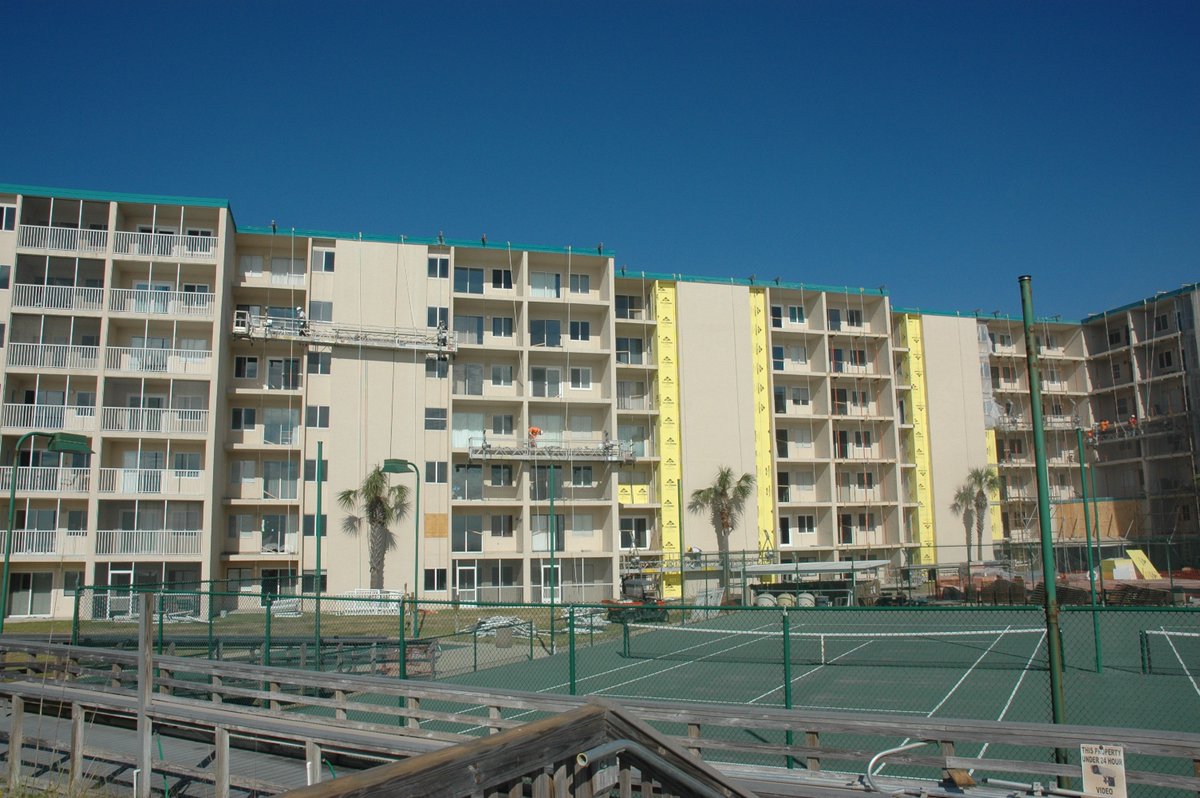 Holly Day tweet media