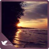 appsandroidsell's tweet photo. 👏 #10: Mesmerizing Sunset Waves #Apps #android ➕Vendidas 👉         https://t.co/MoggjQUwRY         👈 appsandroidsell #androidapps https://t.co/cIfB6c2gzf