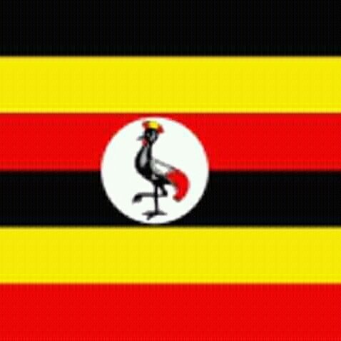 Alexdoroug's tweet photo. #NewProfilePic https://t.co/EtwvOyUQbT
