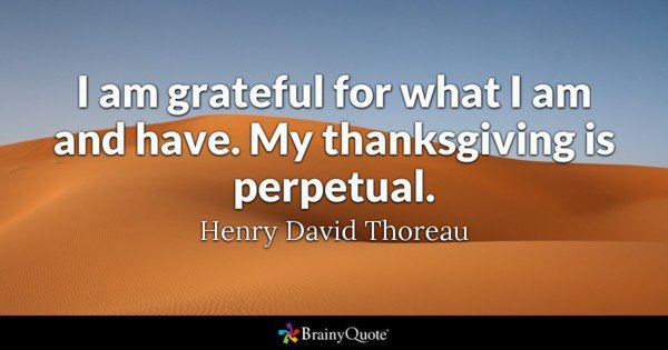 Jessi Steele tweet media