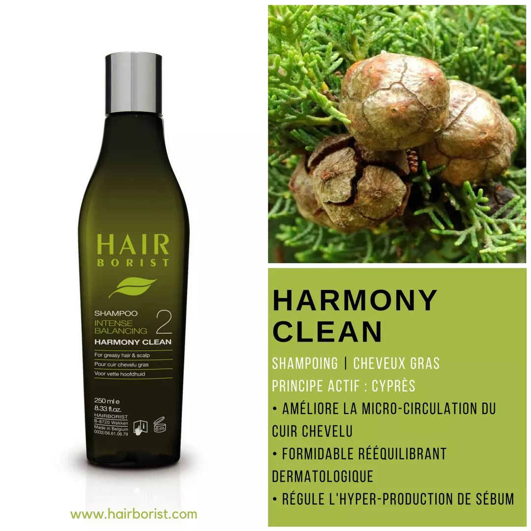 Hairborist1's tweet photo. ➡️ LES VERTUS DU CYPRES 🍃
L'huile essentielle de cyprès est principalement utilisée dans notre shampooing équilibrant HARMONY CLEAN.
Formidable rééquilibrant dermatologique, le Cyprès régule l'hyper-production de sébum. Parfait pour les cheveux gras, donc ! 😊 https://t.co/9e2qPiVsyB