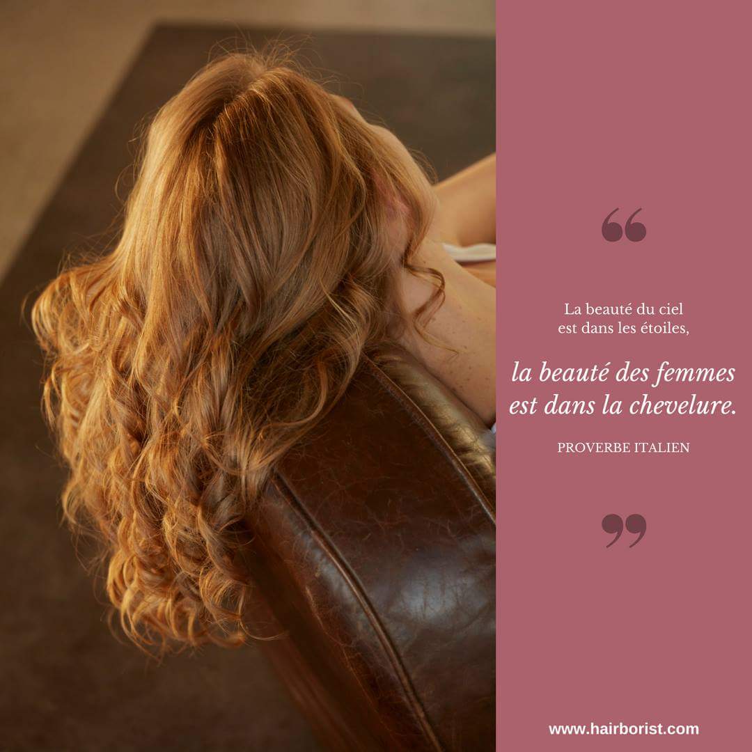 Hairborist على تويتر Citation Du Soir Hairborist Associe La