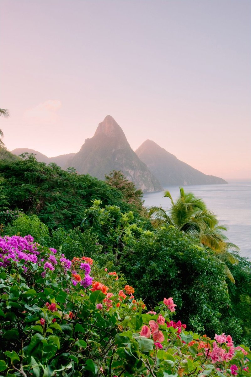 4Discoveryland's tweet photo. Pitons, St Lucia, Caribbean.
If you want to relax and enjoy your life for some weeks, this is one of the top destinations in the world.
#Caribbean #travel #LuxuryTravel #discovery #explore #sea #mountain #Enjoy #CaribbeanComeback #Flowers https://t.co/1CwtprQLQw