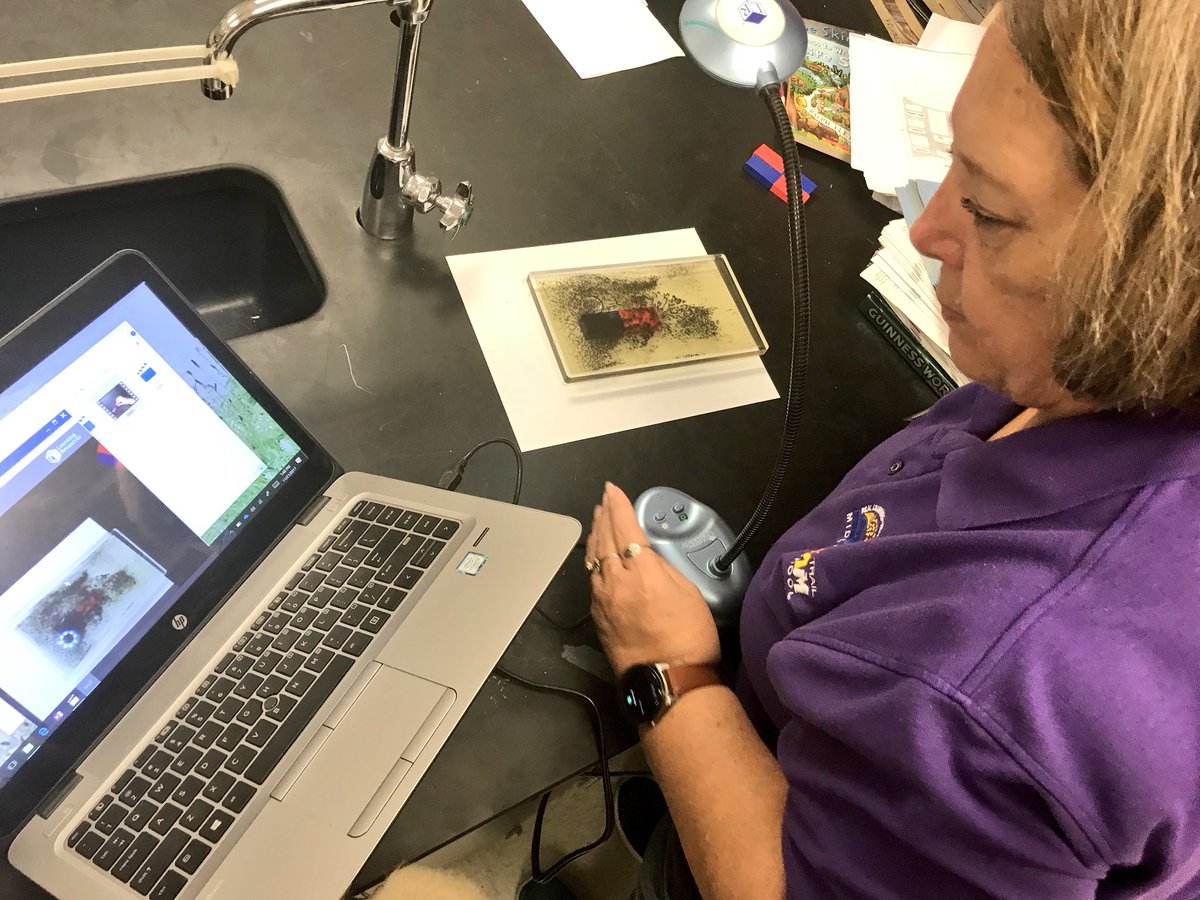 hrollings4's tweet photo. Give a science teacher a document camera and she’ll flip her lab lessons for days! Love @millarscience @STMSWildcats 🎥 #BLinAction #PersonalizeSC https://t.co/ORmJUdzDHt
