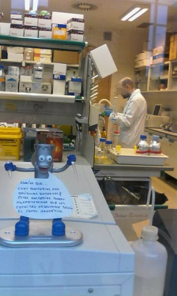 loli_loligo's tweet photo. #IESElEspinillo, perfilando cómo detectar #ViDA #CHONPS con el @C_Astrobiologia #HastaElInfinitoYMásAllá
#CienciaEnElBarrio https://t.co/xUqns2UkWt