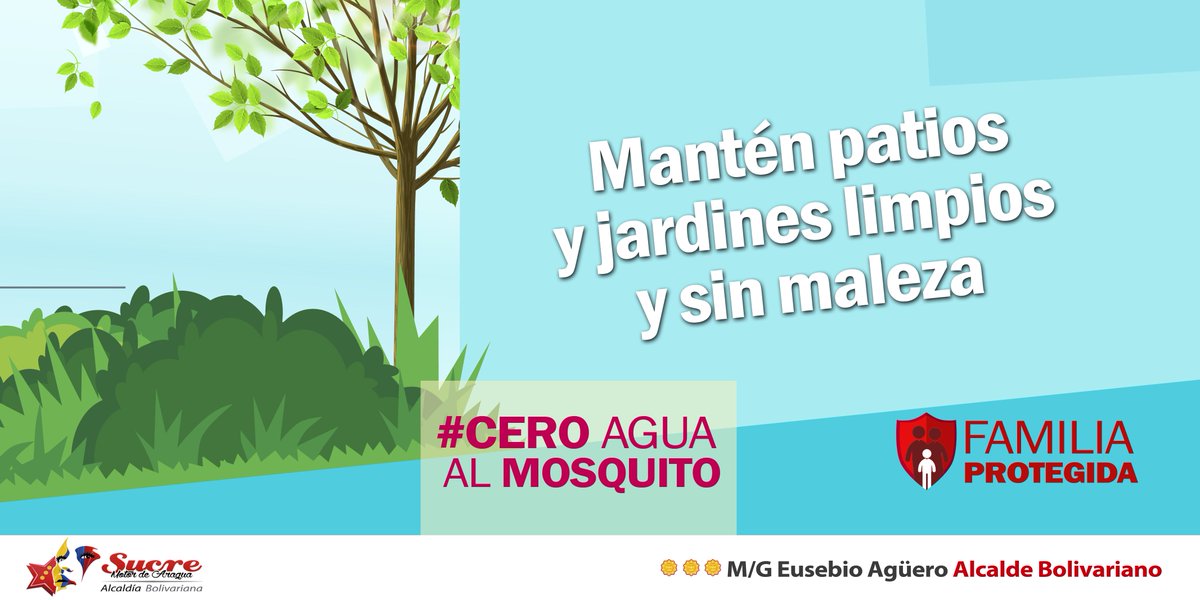 ClapSucreAragua tweet media