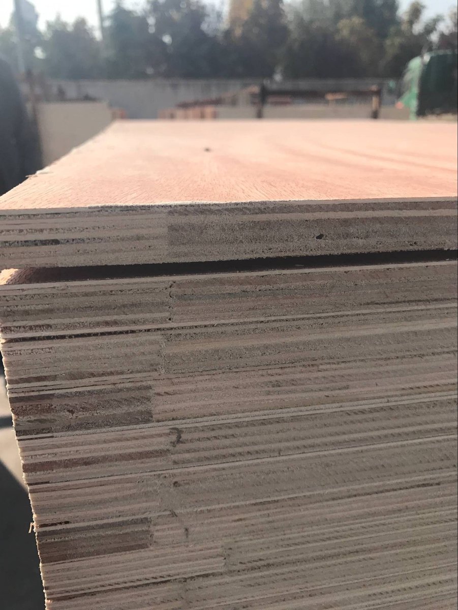 ZoeGoldluck's tweet photo. [For Philippines Market] 
15mm/16mm Commercial Plywood, Bintangor Face/Back, Poplar Core, Two Times Hot Press
Specialize in plywood production since 2002
Welcome inquiry~~~
Email: sales05@goldluckgroup.com
Mobile/Whatsapp: 0086-152 8896 8485 https://t.co/0wTULZDiWI