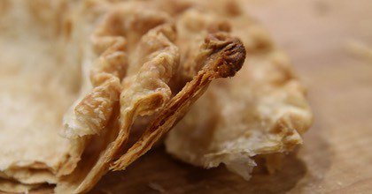 Thermapen's tweet photo. Check the link in the profile for thermal tips on achieving the perfect pies this year. .

#thermoworks #thermapen #chefalarm #thermometer #temperature #thanksgiving #holiday #holidays #turkey #meat #cook #cooking #food #foodie #goodfood #bake #baking #f… https://t.co/e96nFPMXur https://t.co/pBDrxnNfMP