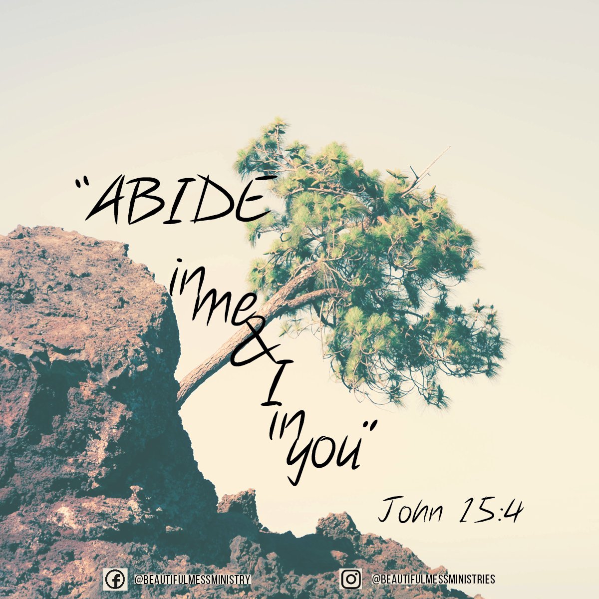 BeautifulMessMi's tweet photo. "Abide in me, and I in you." John 15:4 
#Abide #Vine #AbideInMe #John15 #BeautifulMessMinistries https://t.co/DgL0GgvlBk