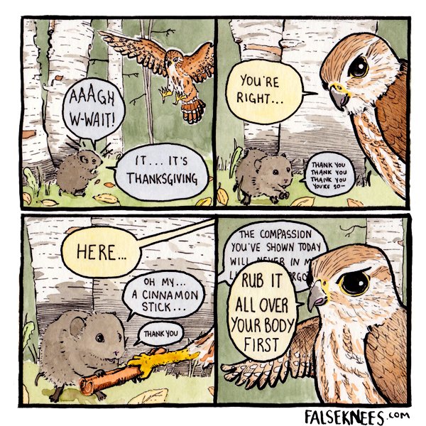 Happy Thanksgiving to my neighbours to the south this weekend! Please enjoy this comic from 4 years ago! #falseknees #throwback #pumpkinspicedrodent #comic #webcomic 
