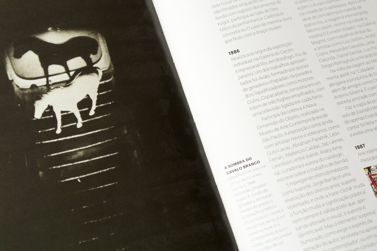 automaticaprod's tweet photo. Automatica 12 anos | ano 11: 2015

Ainda em 2015, publicamos mais dois livros da coleção ARTE BRA: Barrão e Fernanda Gomes. Com eles, somamos 10 volumes publicados. Relembre! https://t.co/vmQFJKYBl2